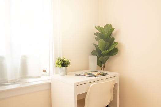 a serene workspace with plants and minimal distractions