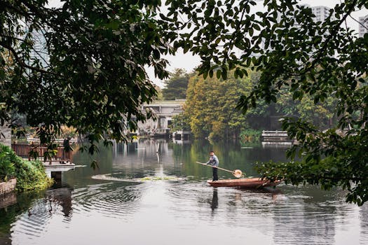 serene park scene