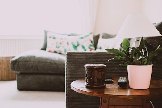 cozy living room with plants