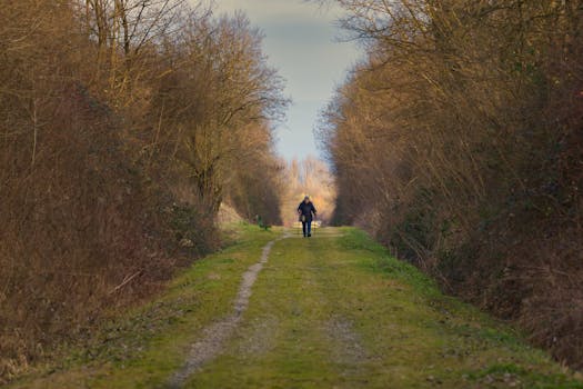 peaceful nature walk