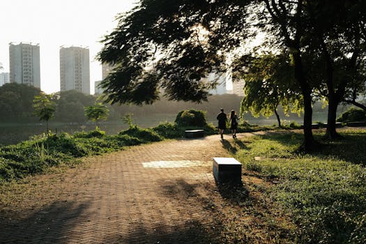 A serene park path for a relaxing walk